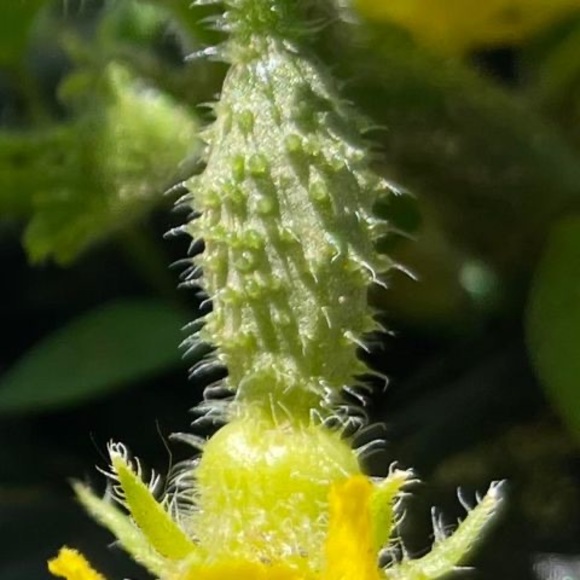 Meet your Posher, Alejandra - Picture 1 of 1